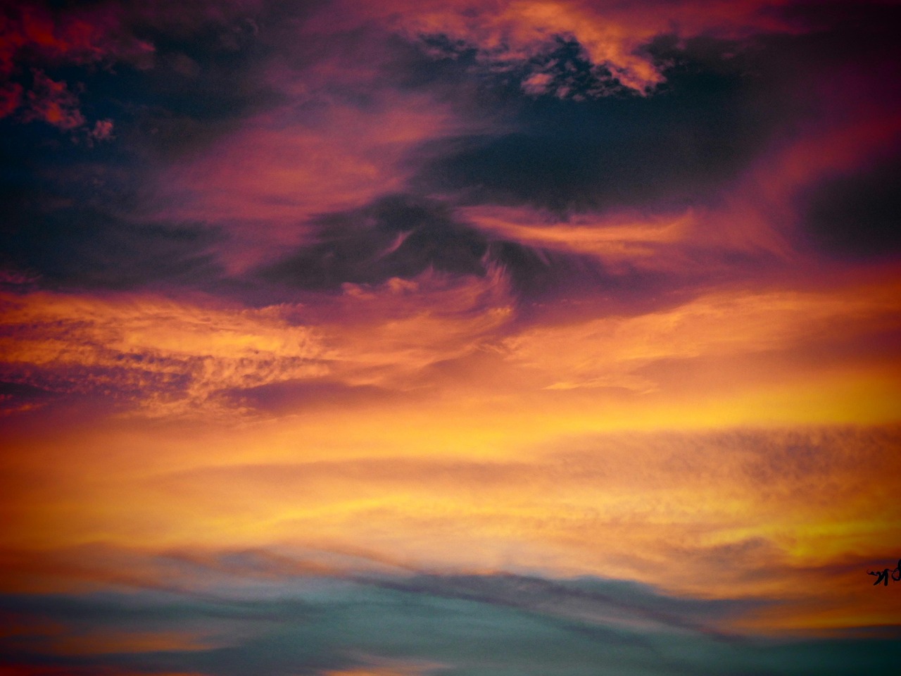 微信号码批发：为啥第五人格注册不了账号