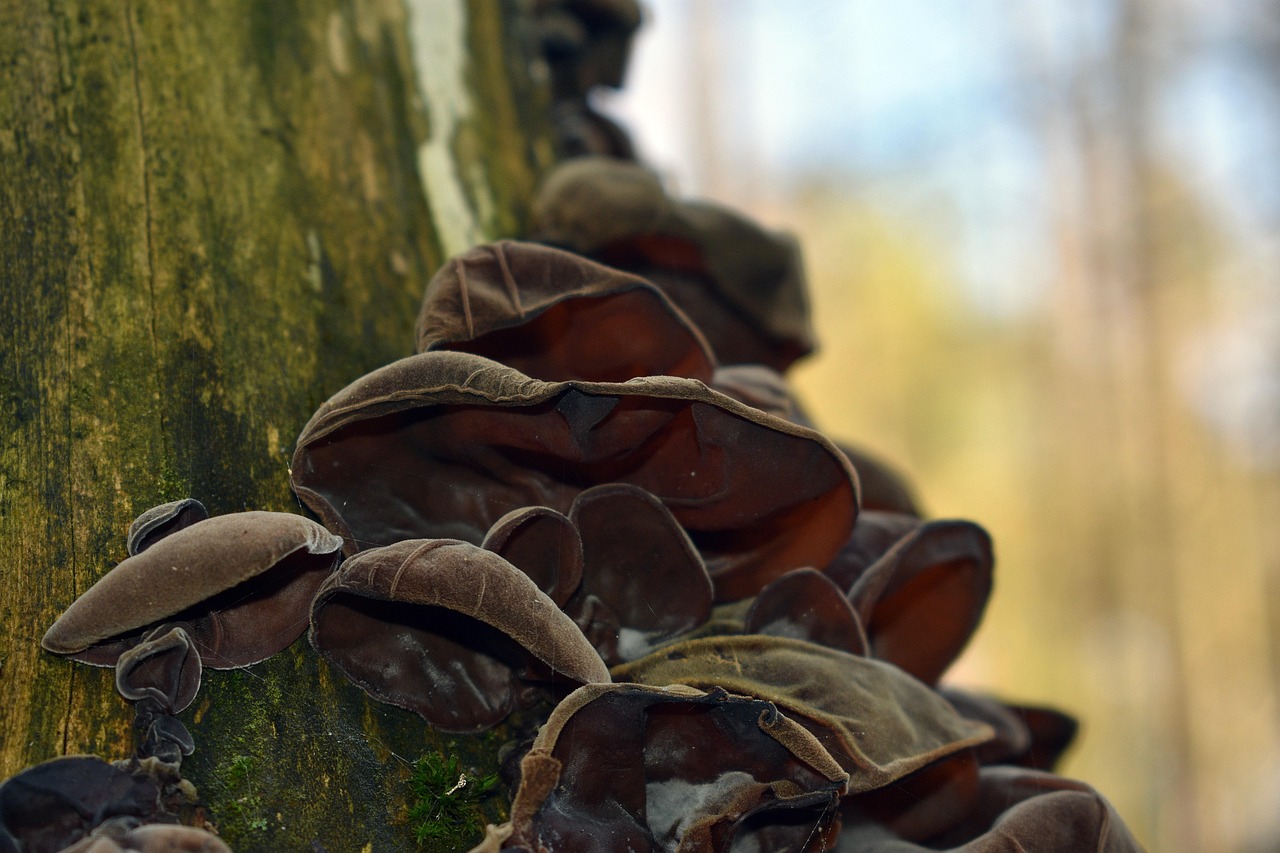 热血江湖：注册谷歌账号的邮箱注册