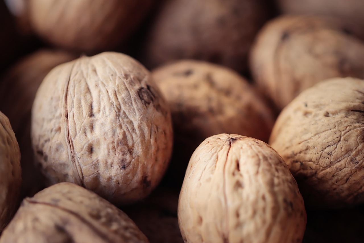 合景庄行公司代理注册