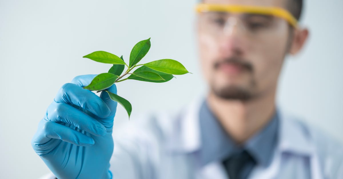 为什么短信会被延迟或无法发送？