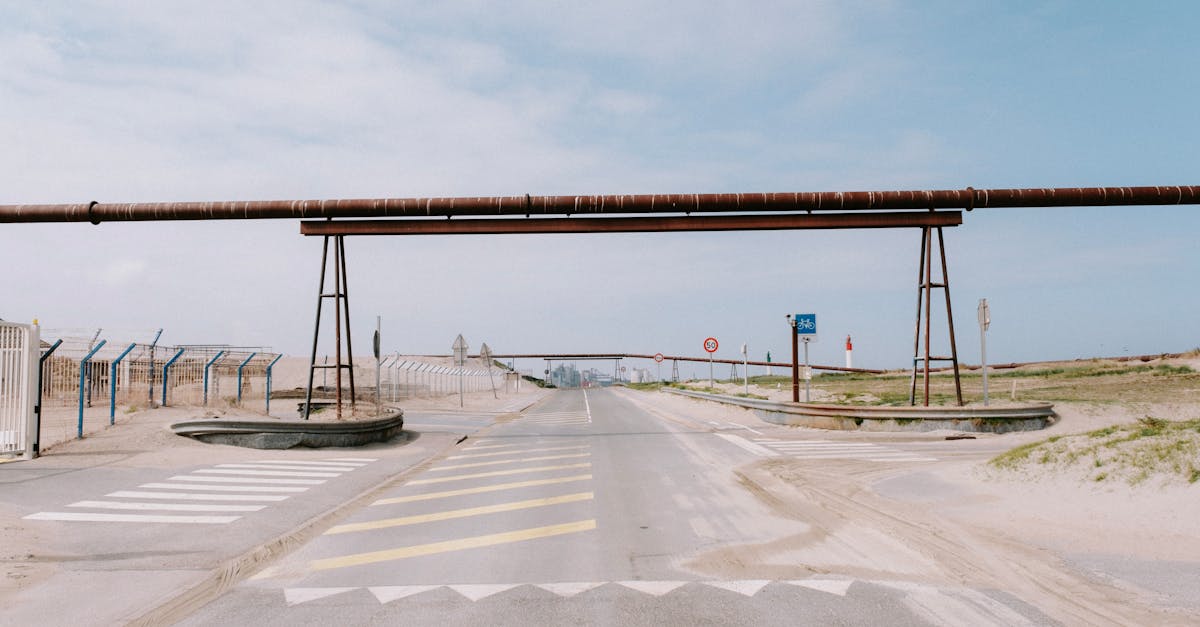 草莓 app详情下载教程免费