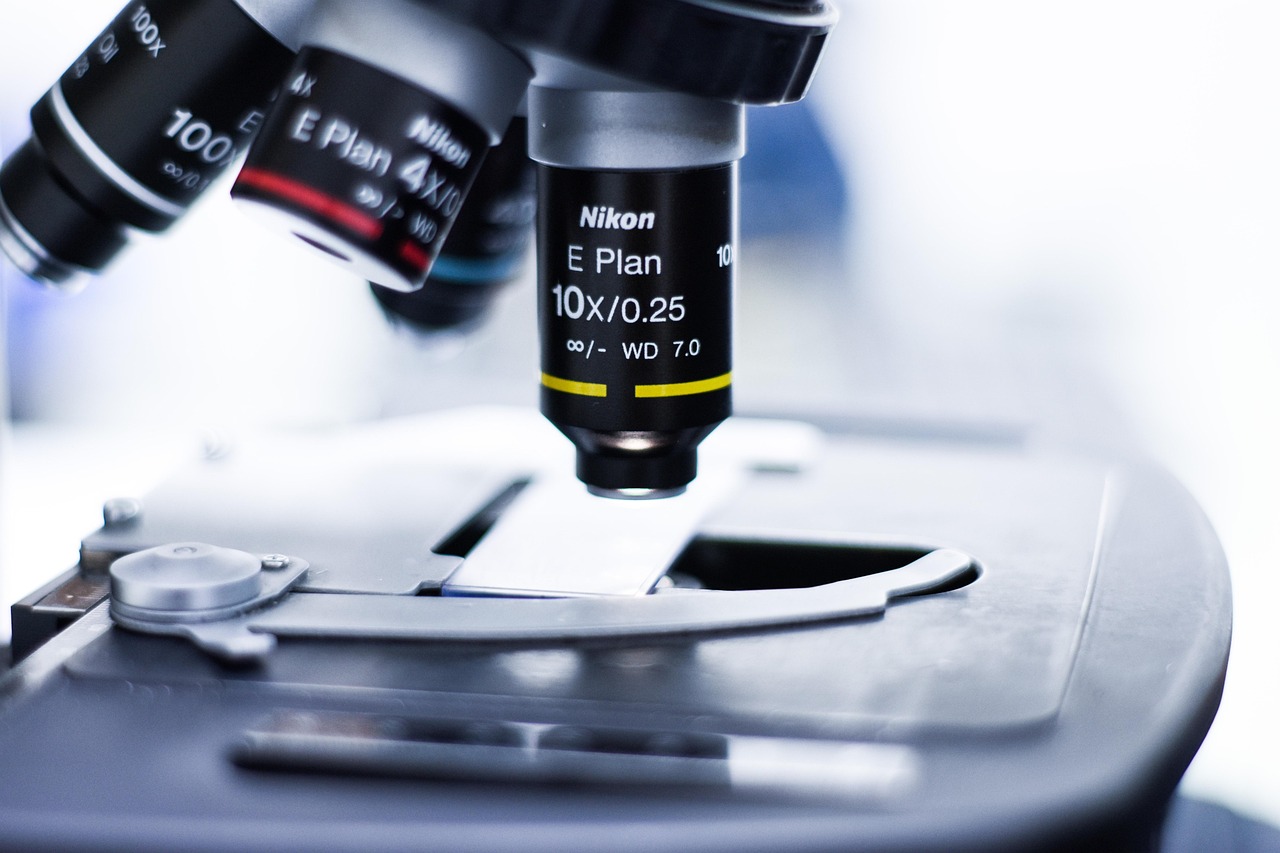 2号站白眼APP详情下载教程不了