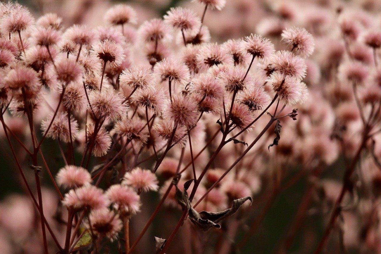 越南小黑万宝路：大量工业app详情下载教程